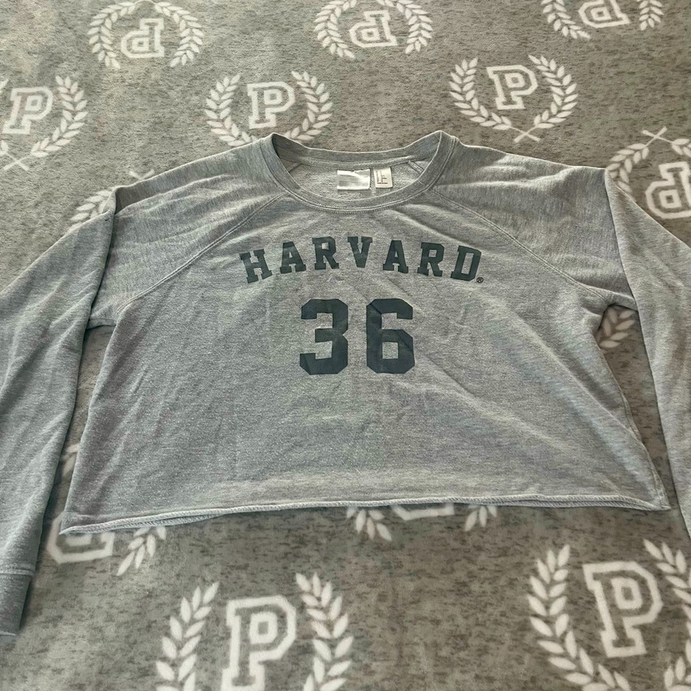 Harvard University Cropped Sweatshirt Gray Hybrid Apparel Womens Medium 36